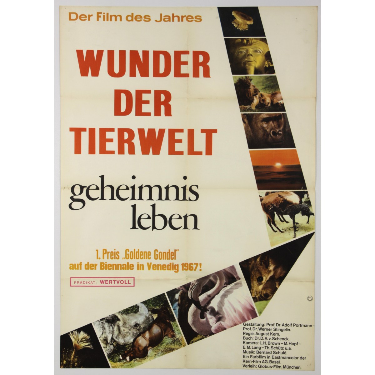 Movie poster geheimnis-leben-2-ger